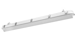 RAB Lighting® Family Shark