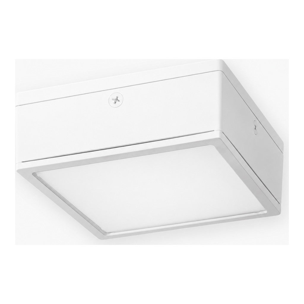 RAB Lighting® VANLED75 Vandal Resistant LED Wall Pack, 75W, 5000K, White