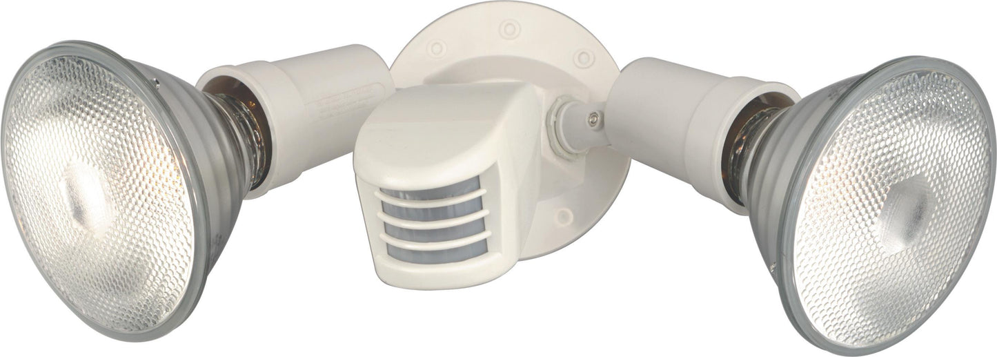 SF76-502 SF76/502 2-Light 10 in. PAR38 Flood Light