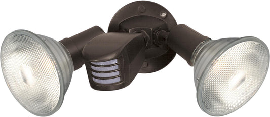 SF76-503 SF76/503 2-Light 10 in. PAR38 Flood Light